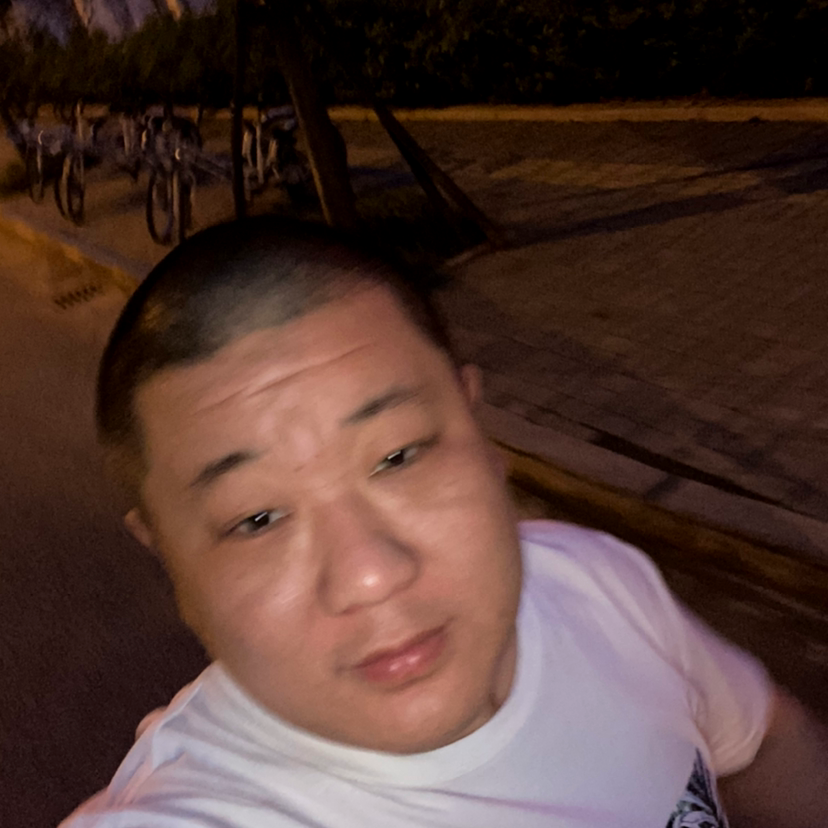 执着拾忆猎豹的照片
