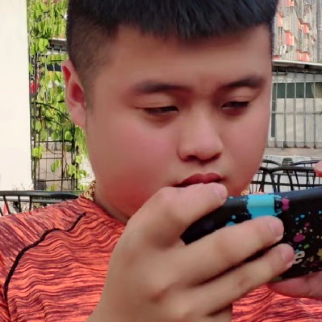 小白菜打优雅的照片