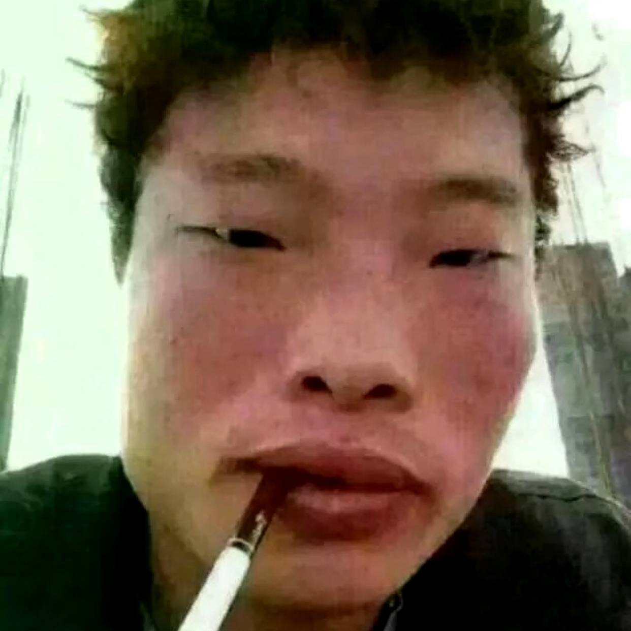 橘子的照片