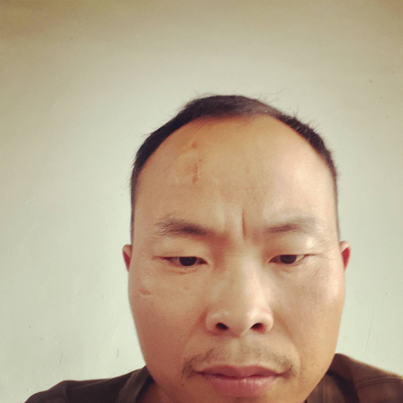 夕阳吃醋生动的照片