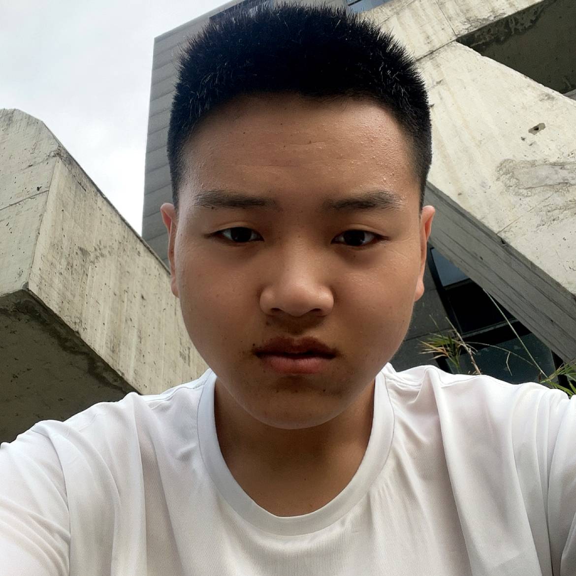 秋颜挽手迷路的照片