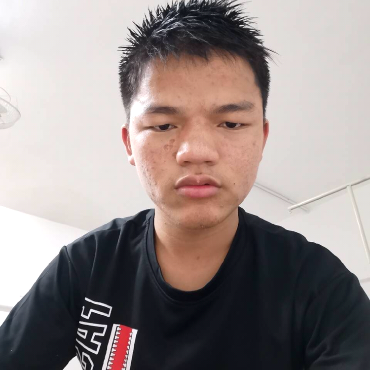 森槿传统的照片