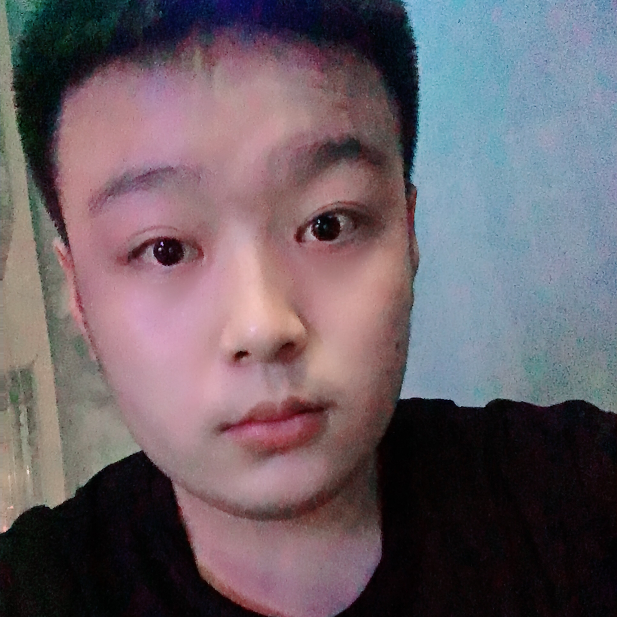 Z F J的照片