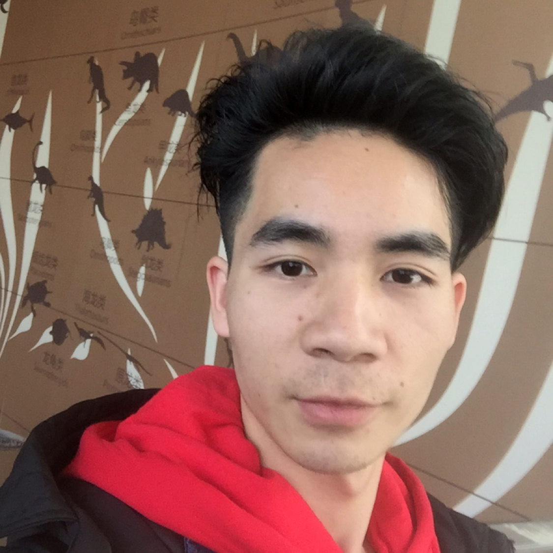 小熊的照片