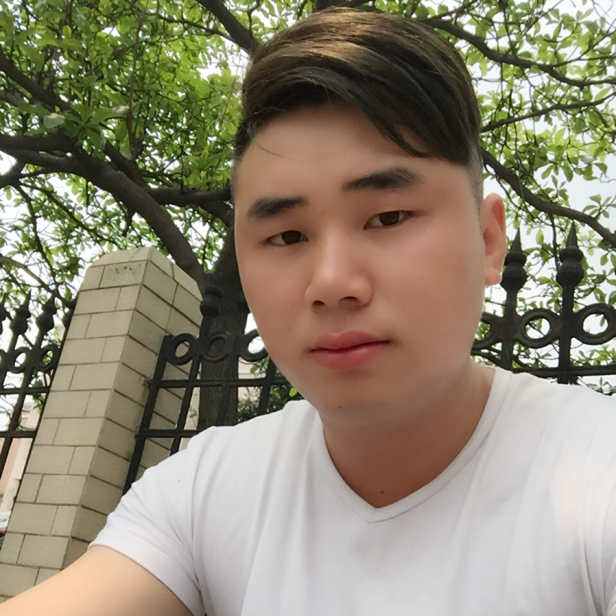 Aiog的照片