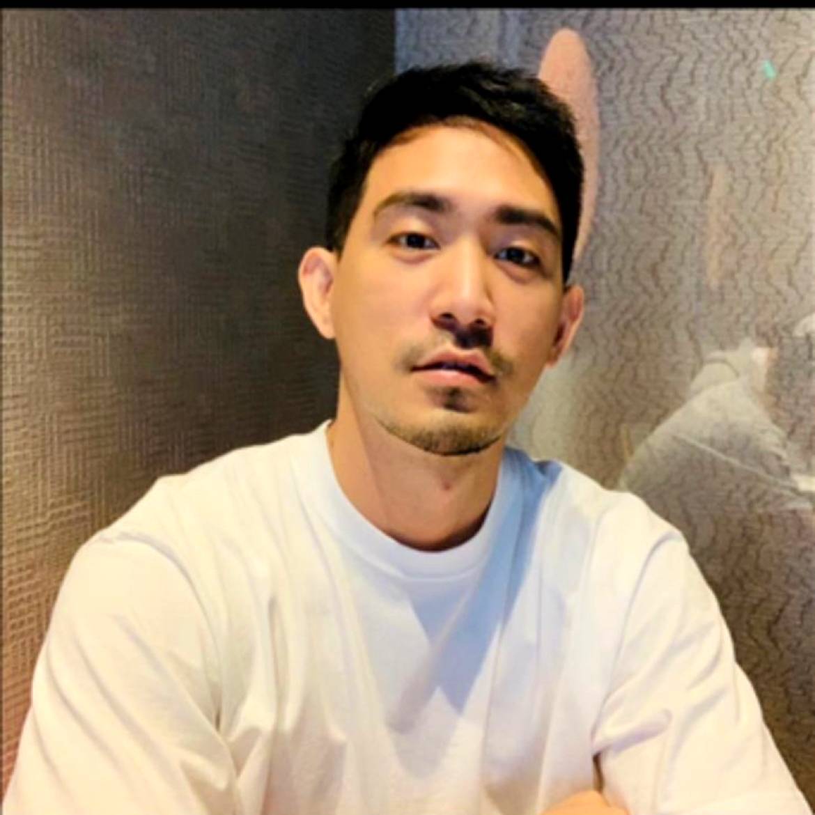 知性的小鸽子的照片