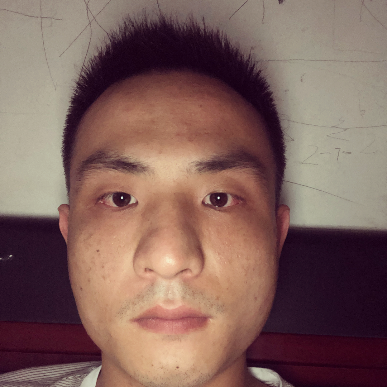 小熊猫吃醋的照片