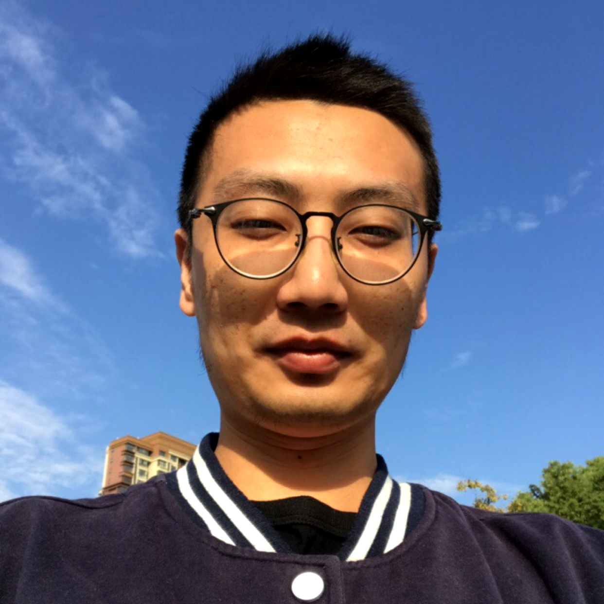 魔幻说大象的照片