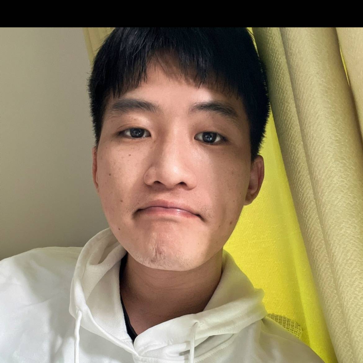 玫瑰漫步自由的照片