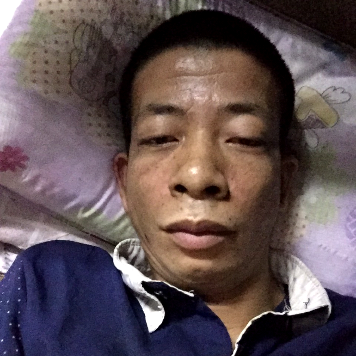 荷花泪了顺利的照片