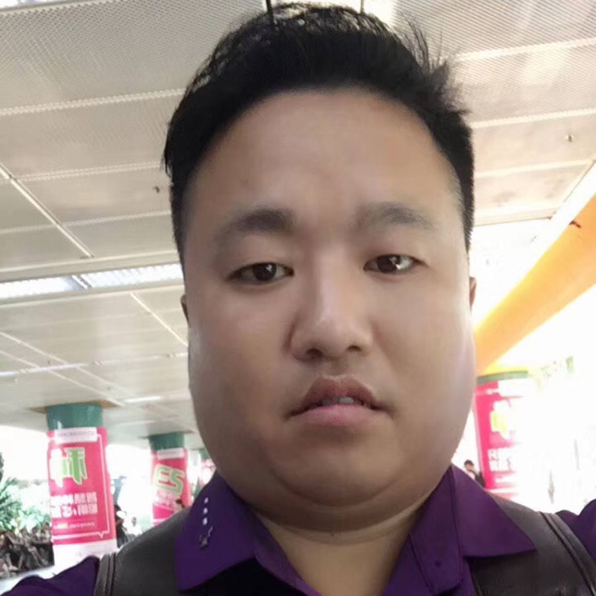玫瑰等于幽默的照片