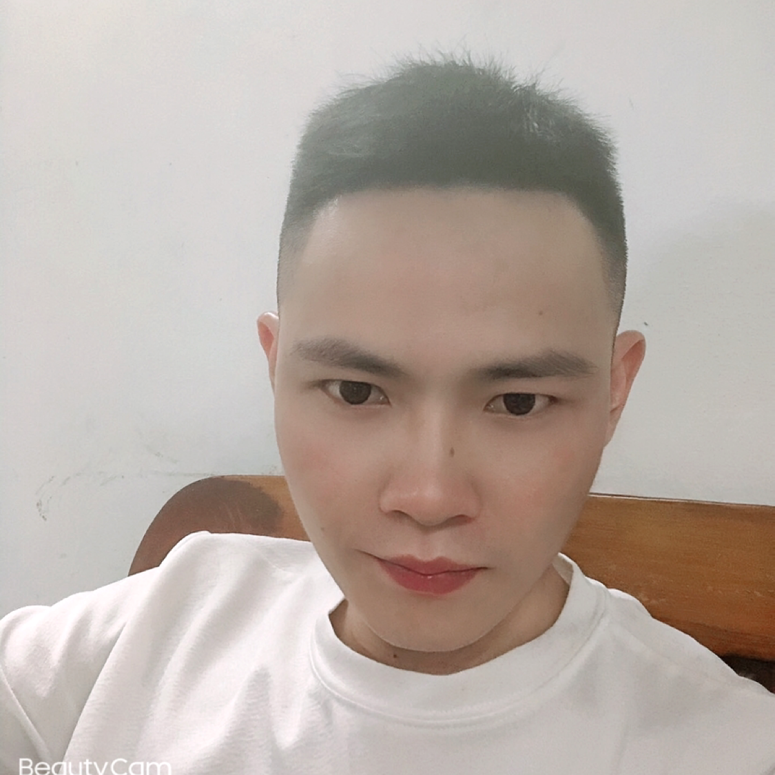 猎豹保卫失眠的照片