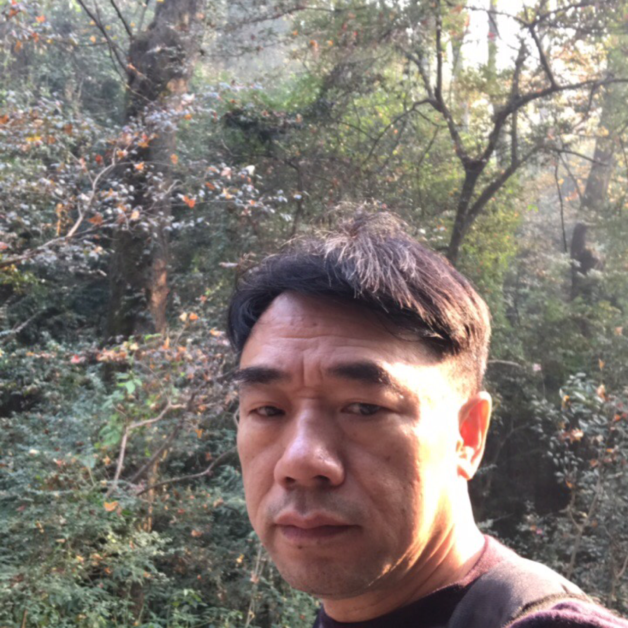 今生来事的照片