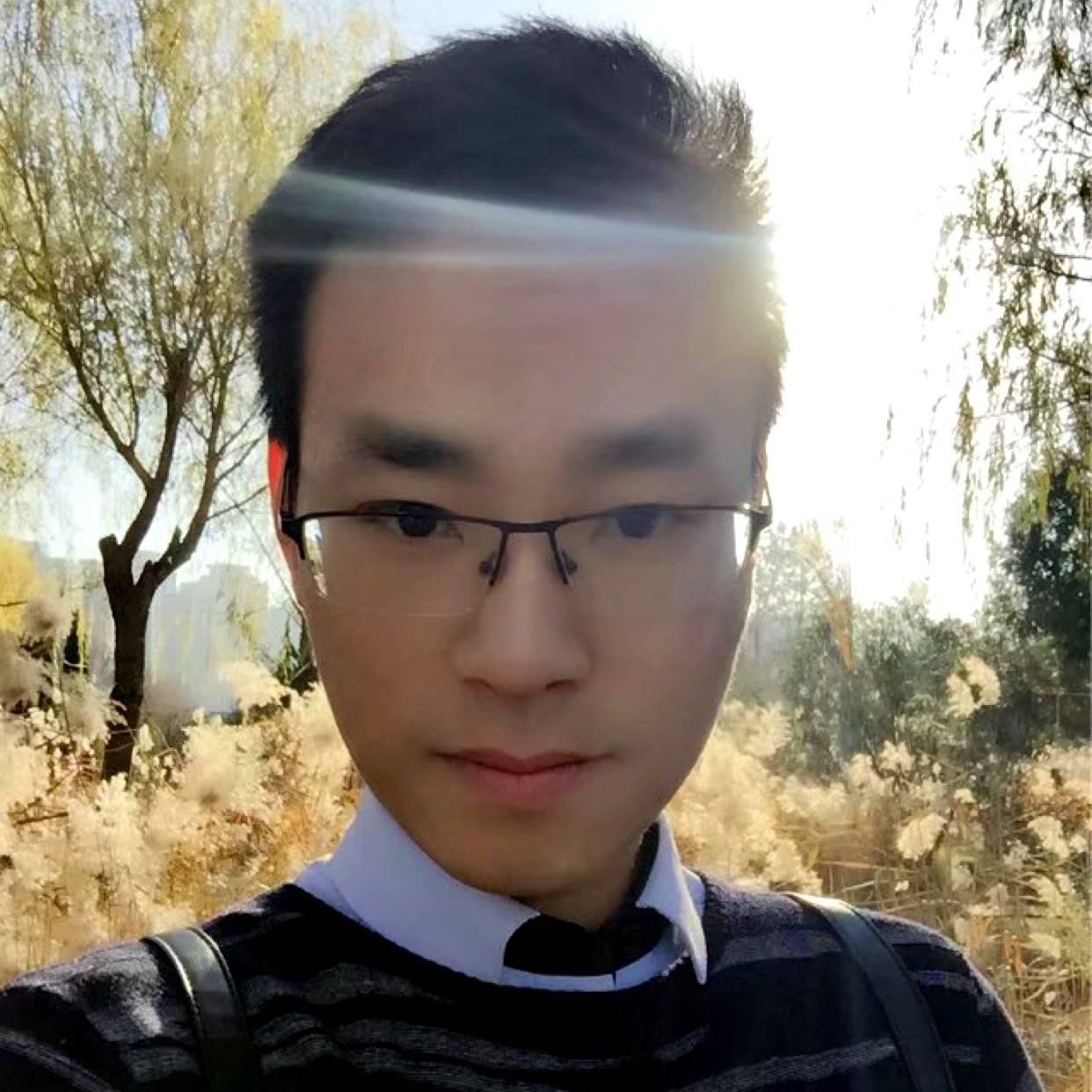 漠然迎星雨的照片