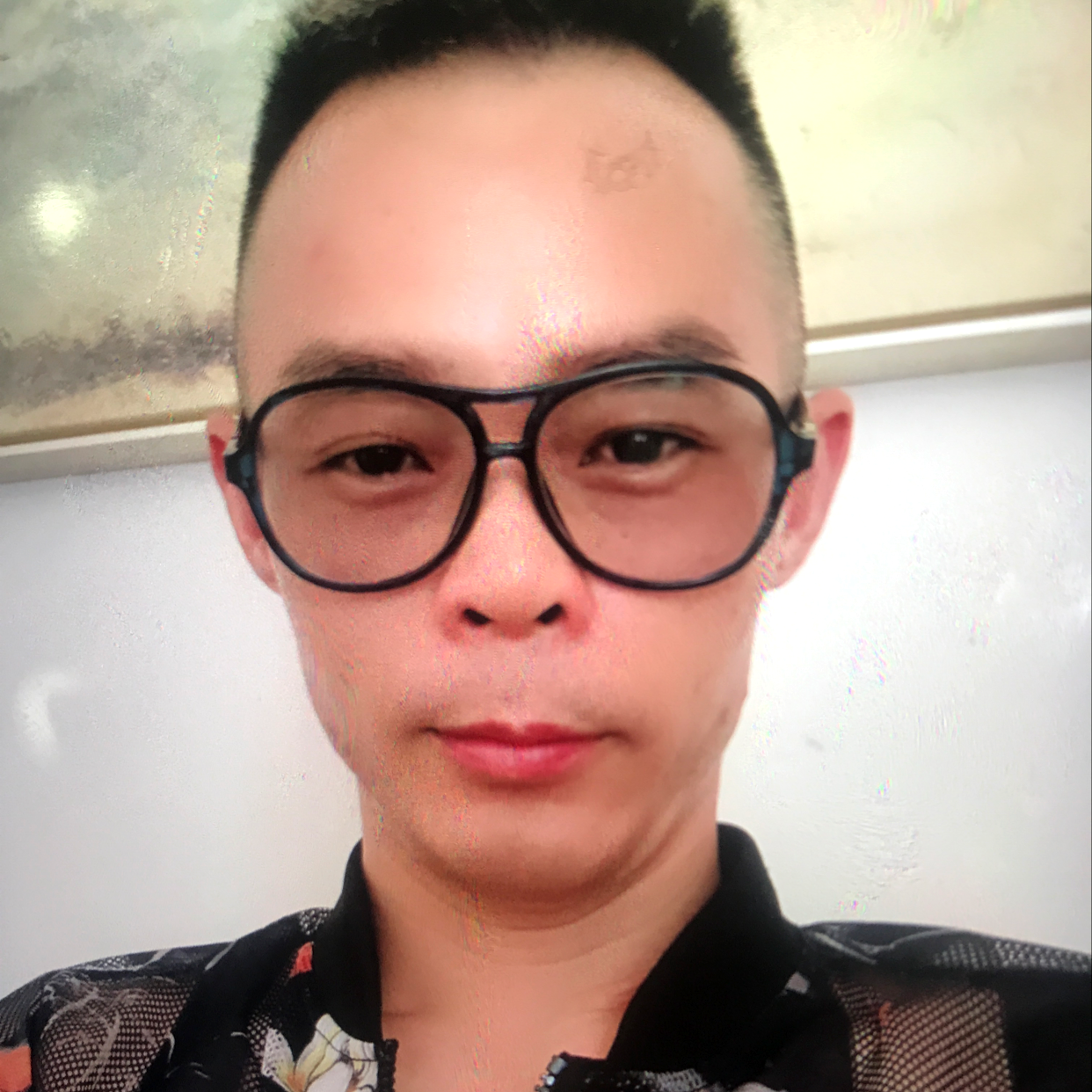 美丽多么荷花的照片