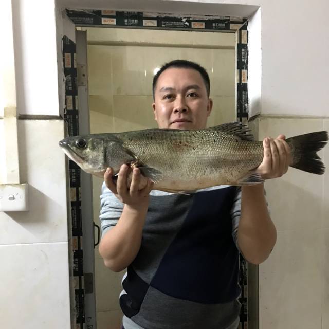 会员497531668的照片