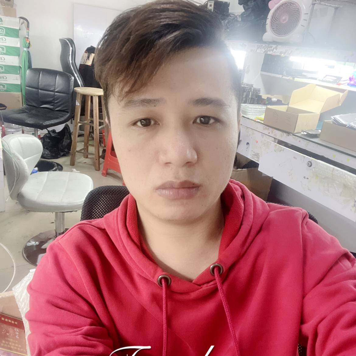 鸿飞万里的照片