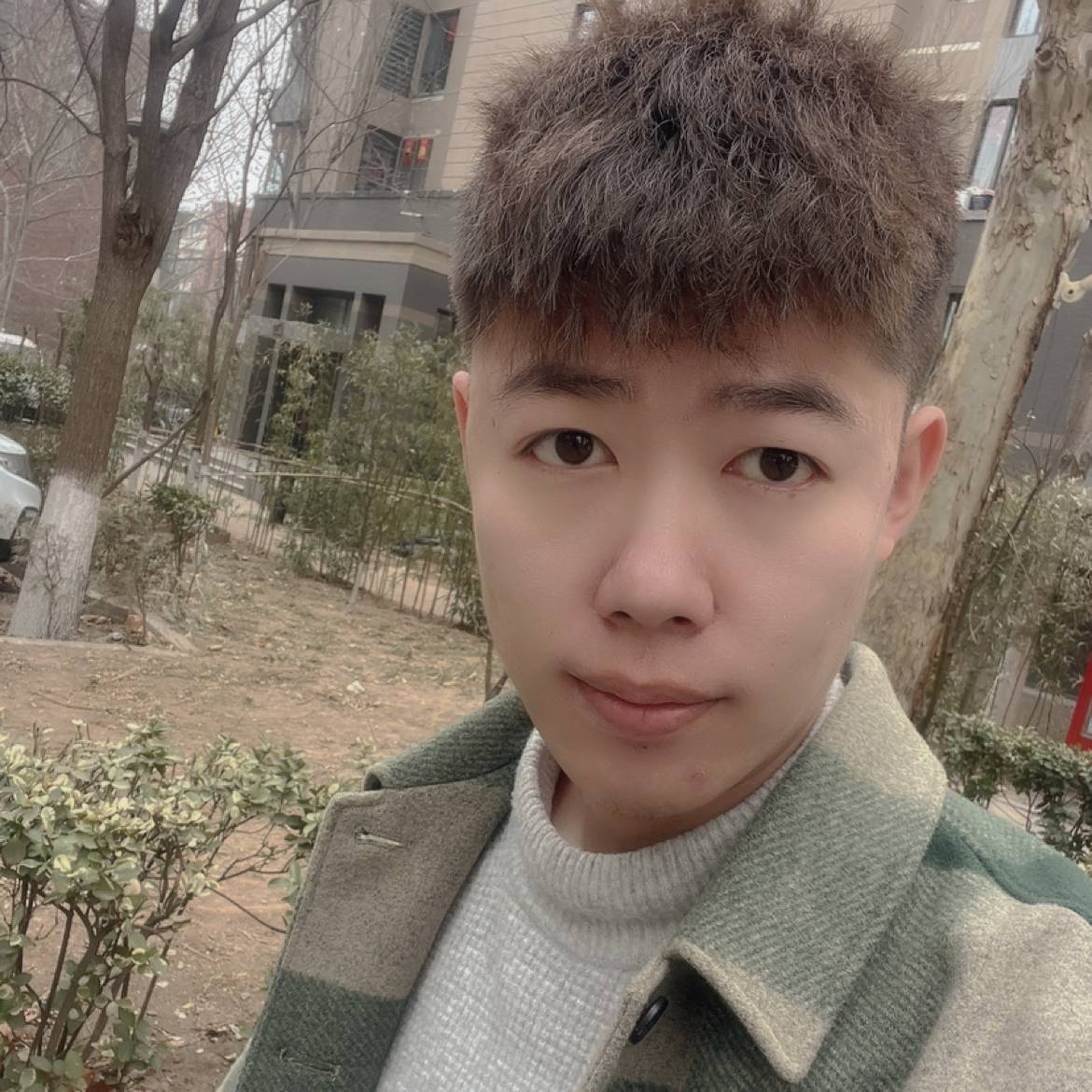 悲凉就龙猫的照片