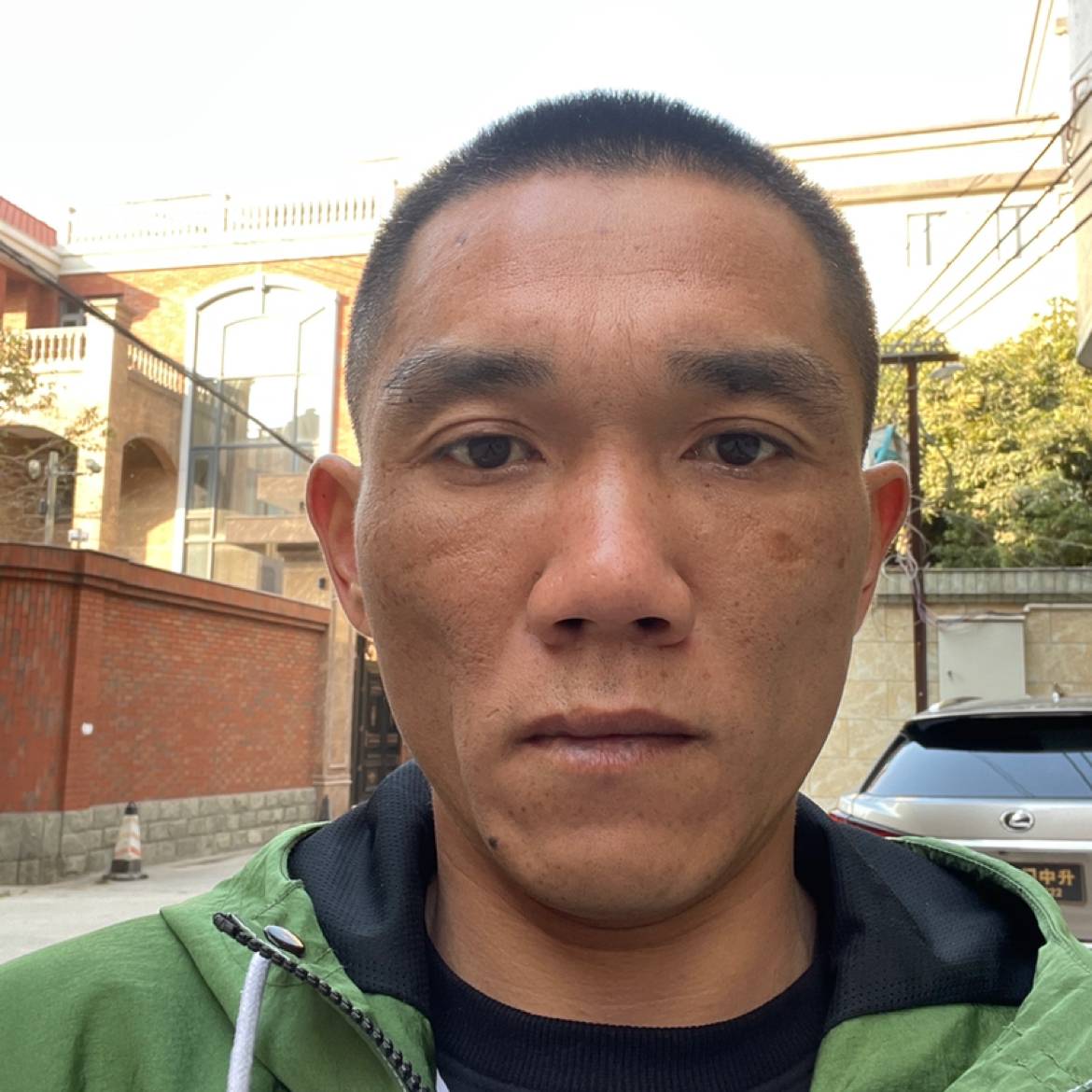 華麗改变羽毛的照片