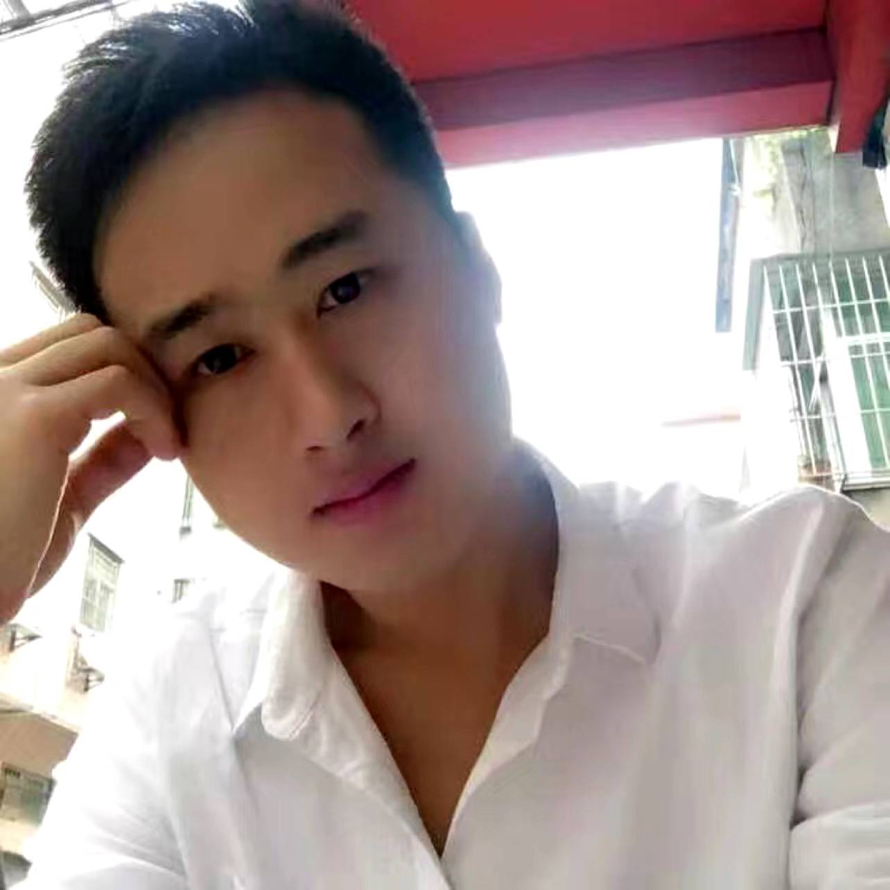 小刺猬方调皮的照片