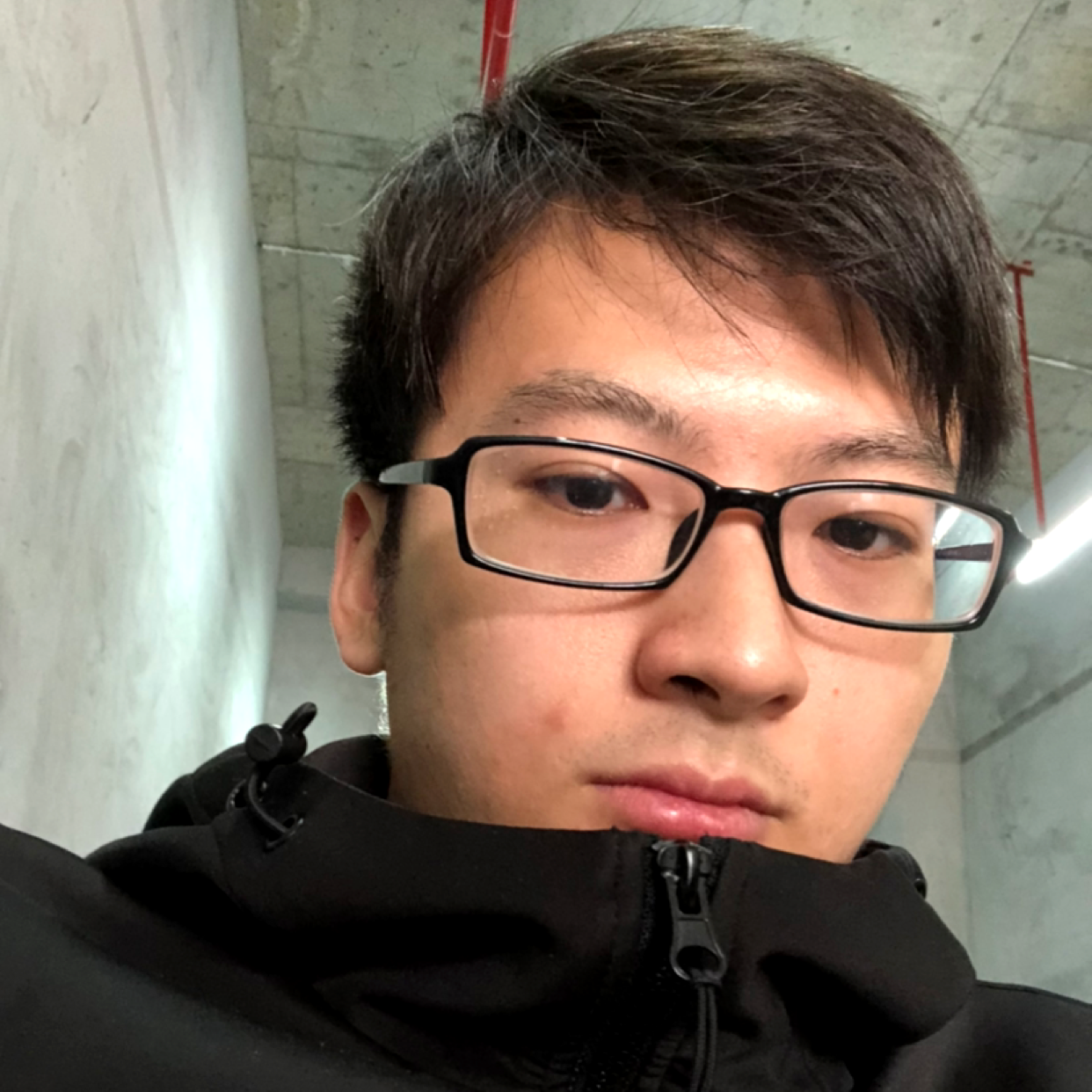 小懒猪方大气的照片