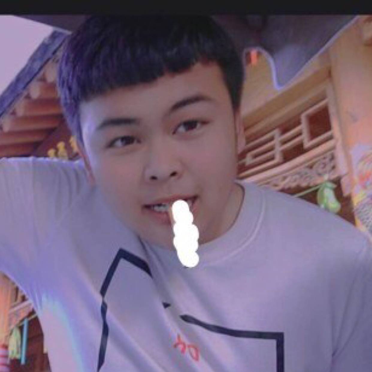 寂冷打大雁的照片