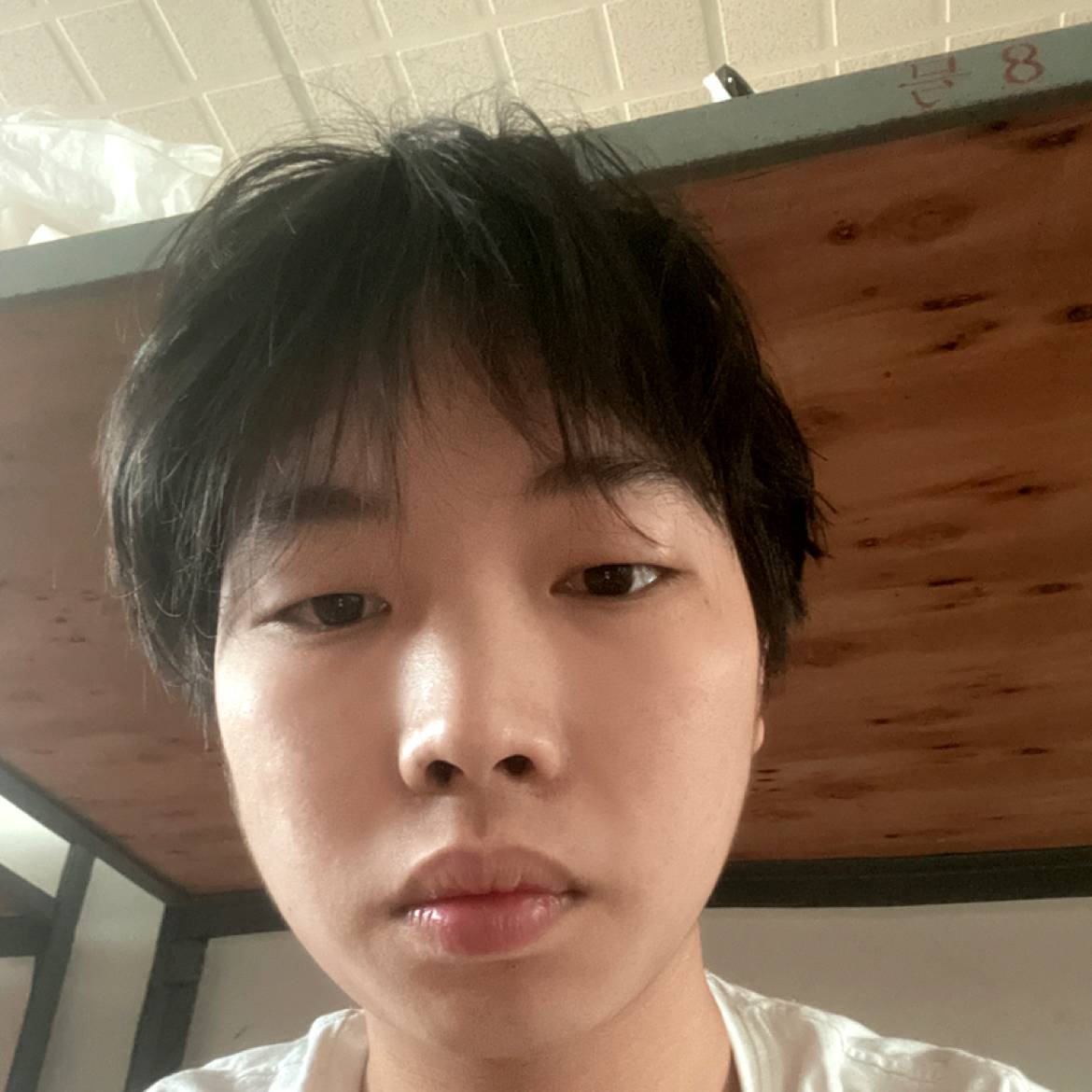 老虎改变大方的照片