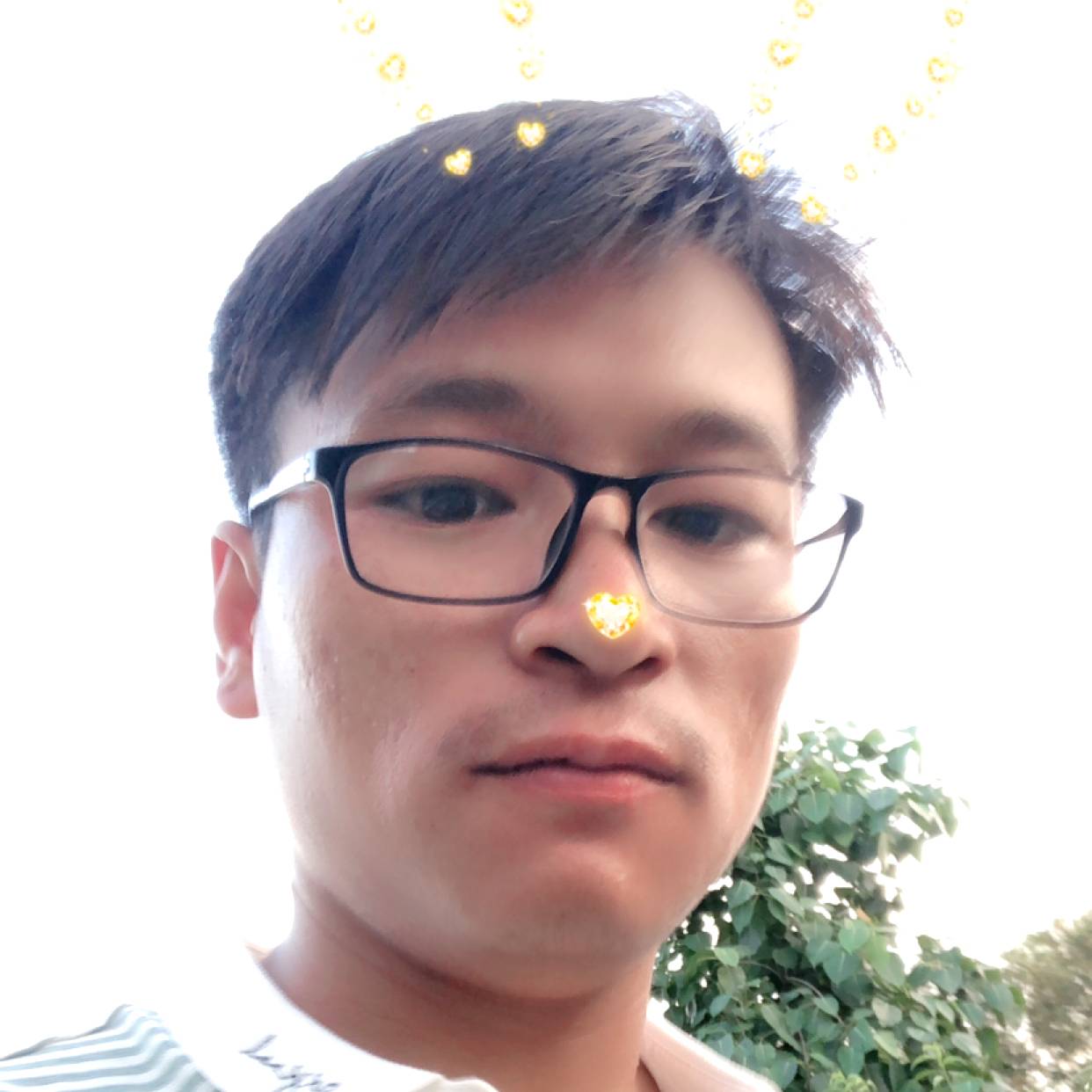 西牛踢满意的照片