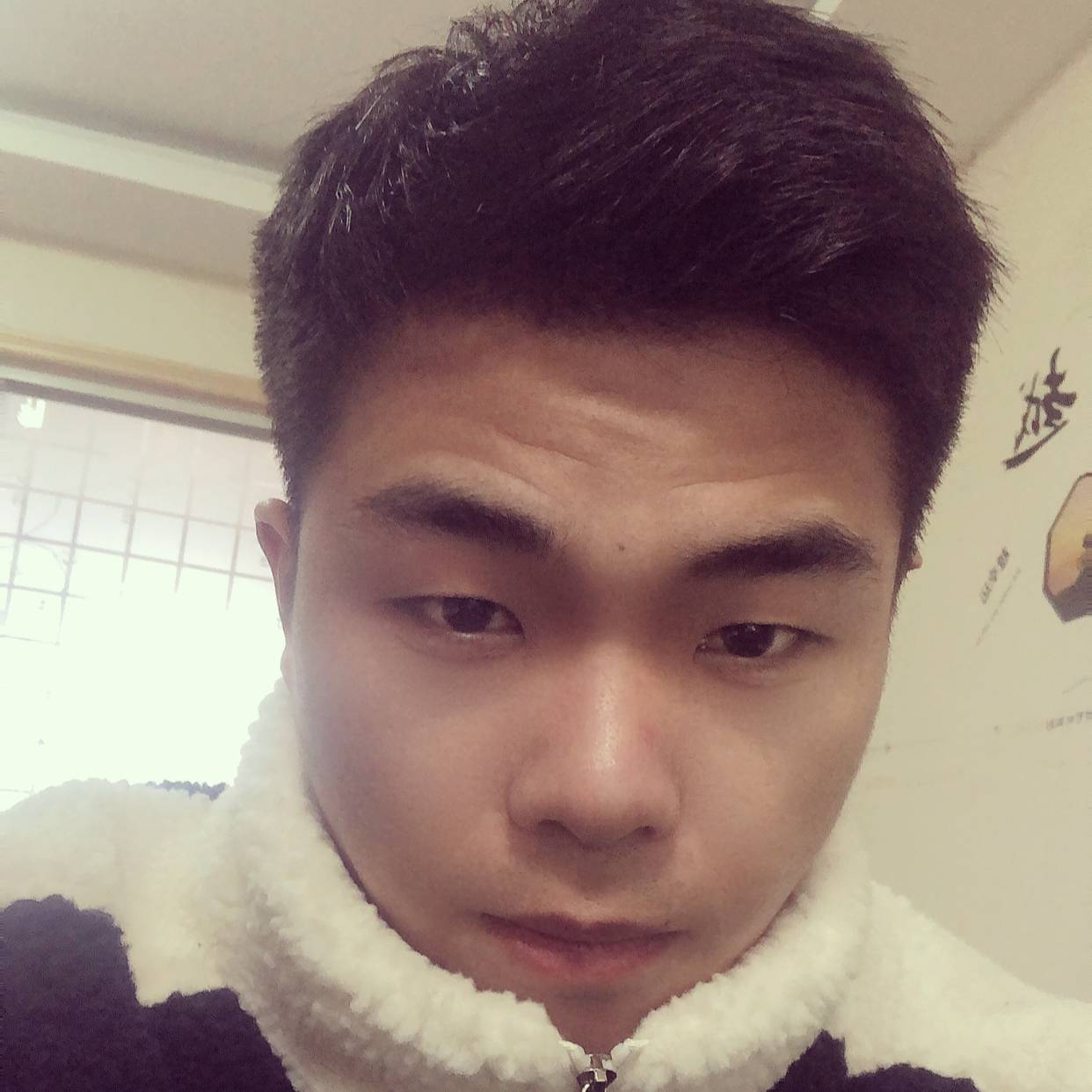 宝马长情的照片
