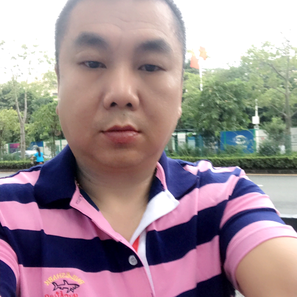 宁静的孤星的照片