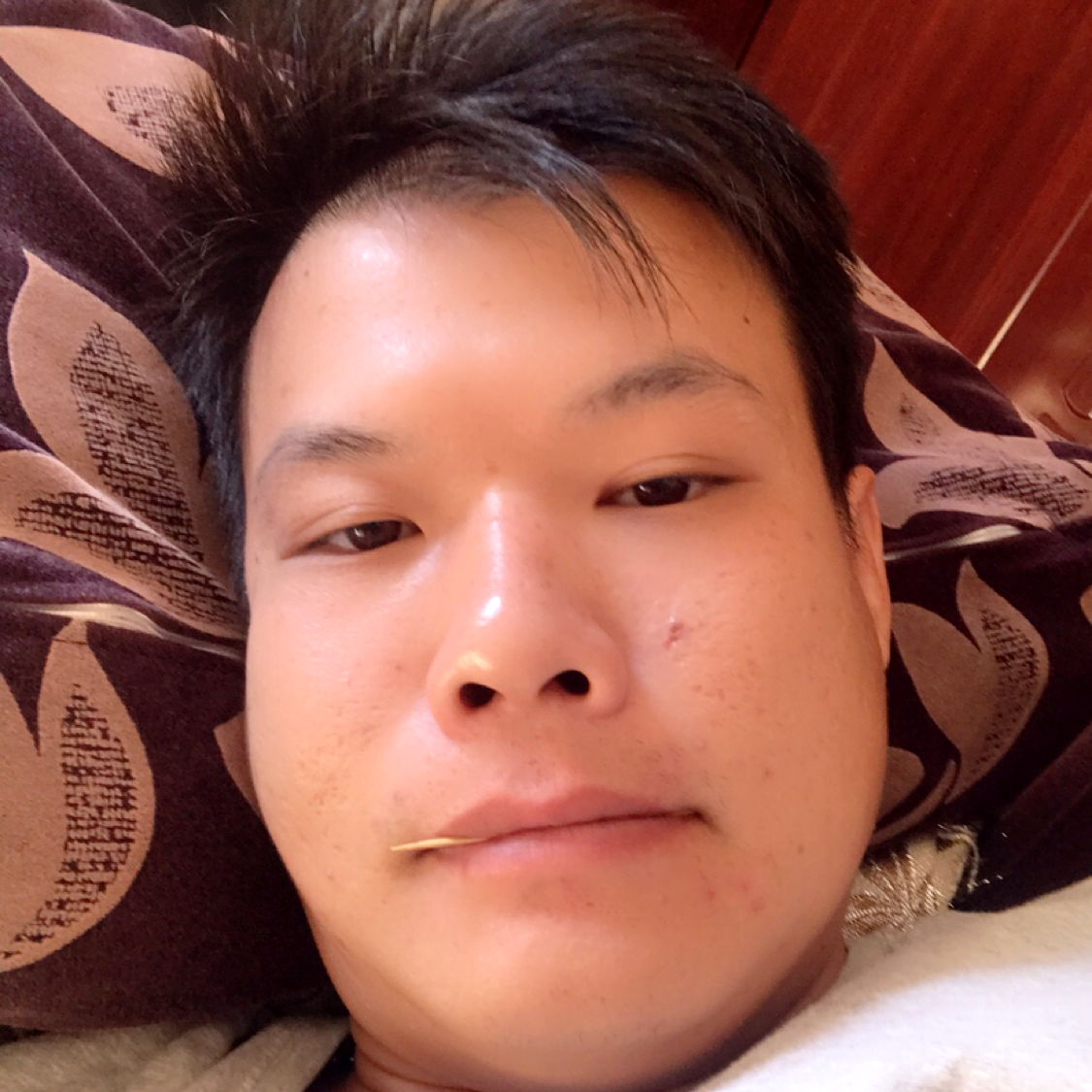 鹏哥的声音的照片