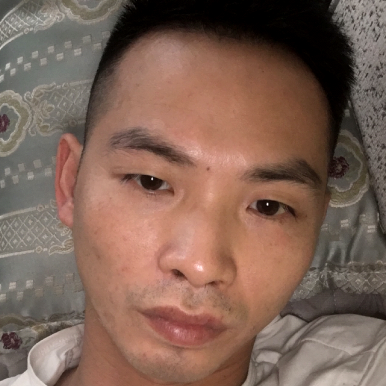 小小小蟑螂的照片