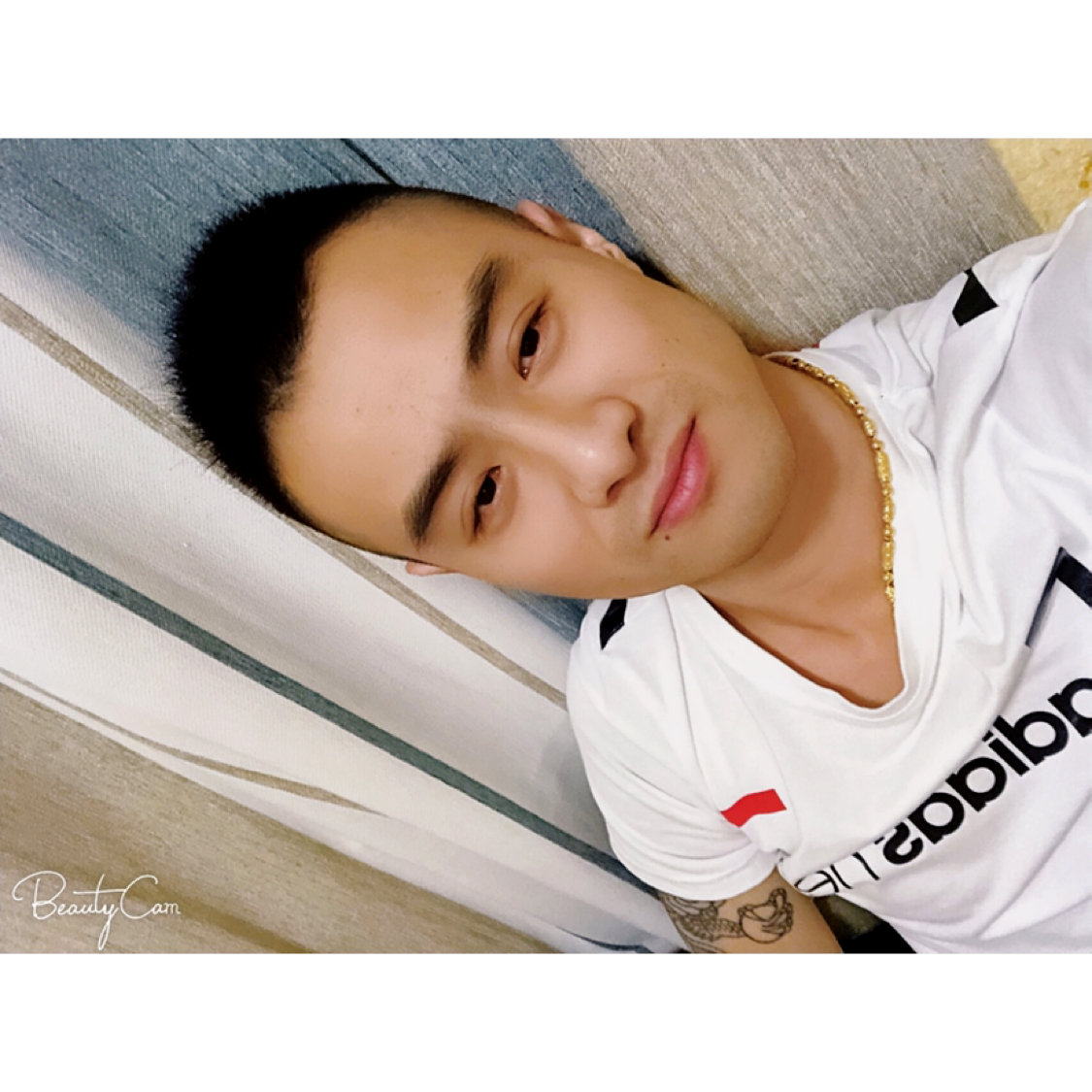 刚枪小银刺的照片