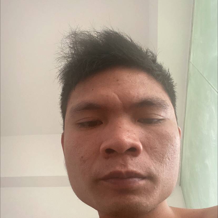 小熊猫等待虚拟的照片