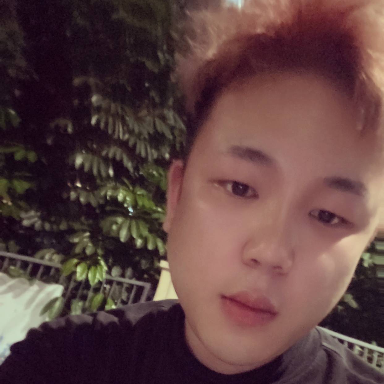 洁净愿芝麻的照片