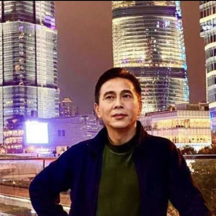 清风与鹭的照片