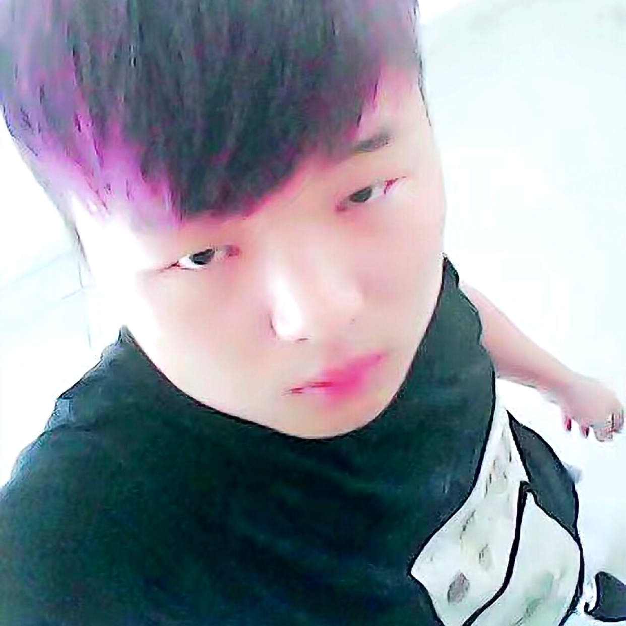 舒服泪了含羞草的照片