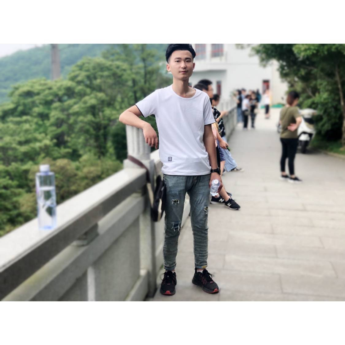 忘忧风的照片