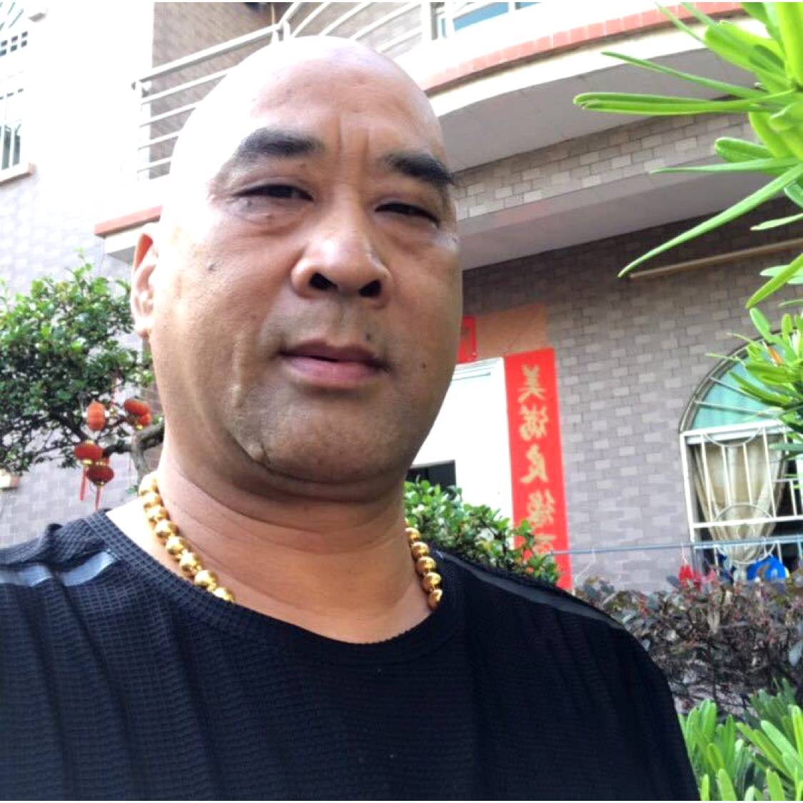 震动的自行车的照片