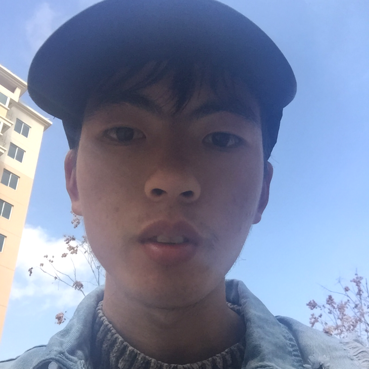 活力给小猫咪的照片