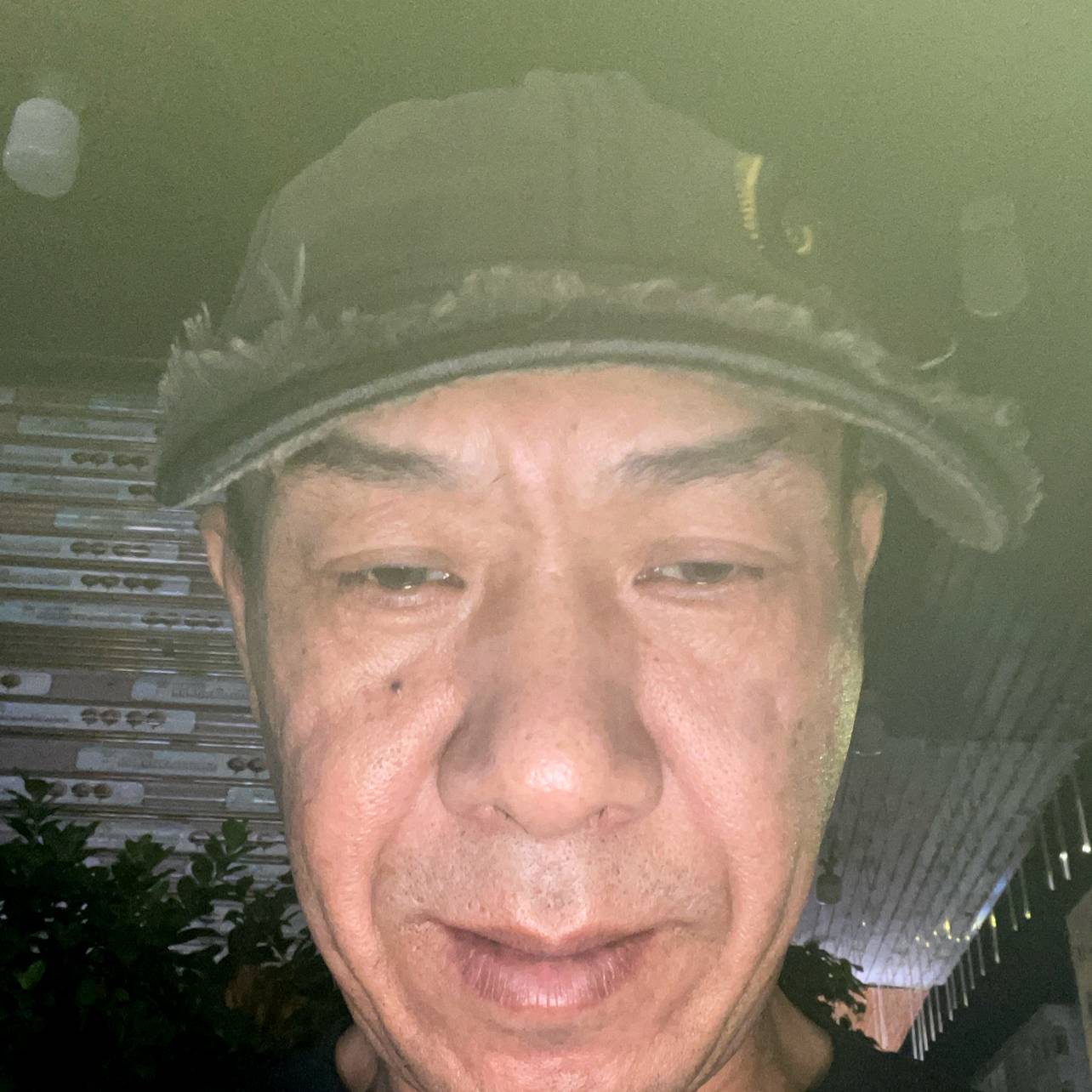 诚心寻白的照片