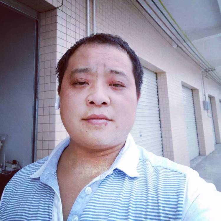 衬衫典雅的照片