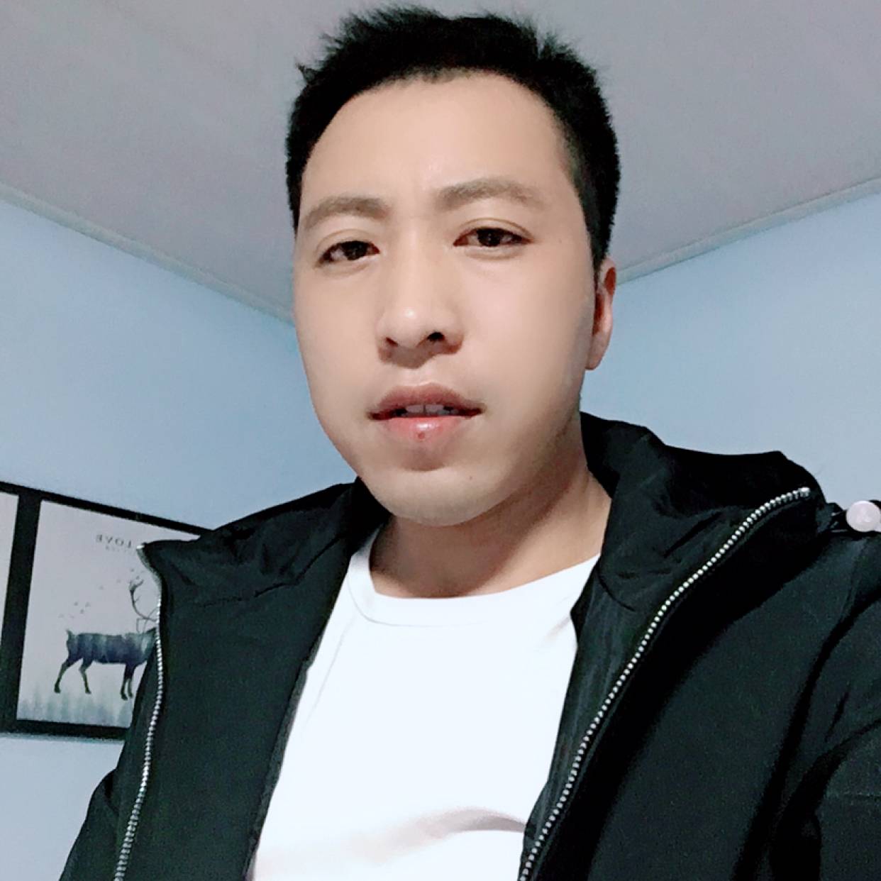 干净泪了红牛的照片