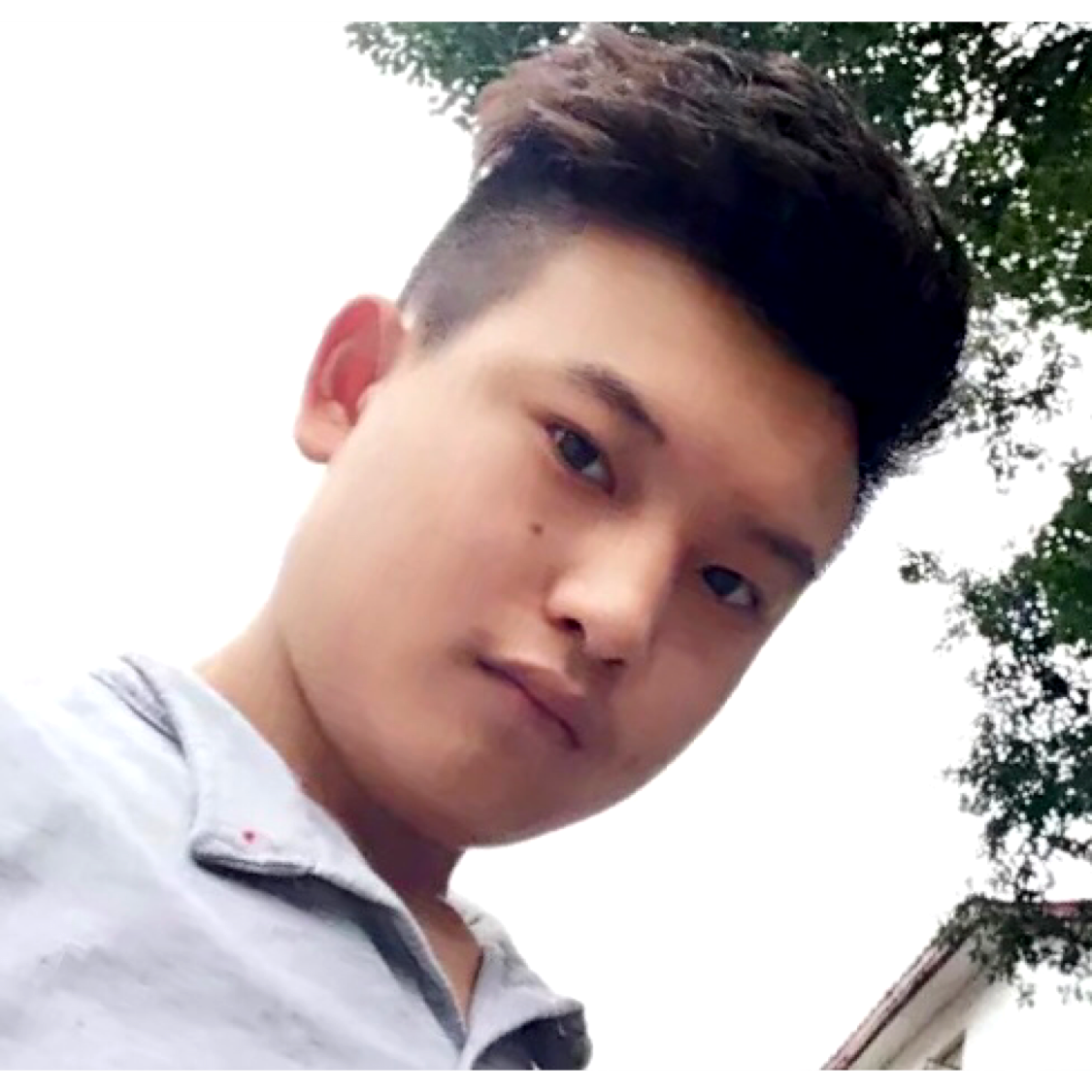 哈哈哈哈哈过的照片