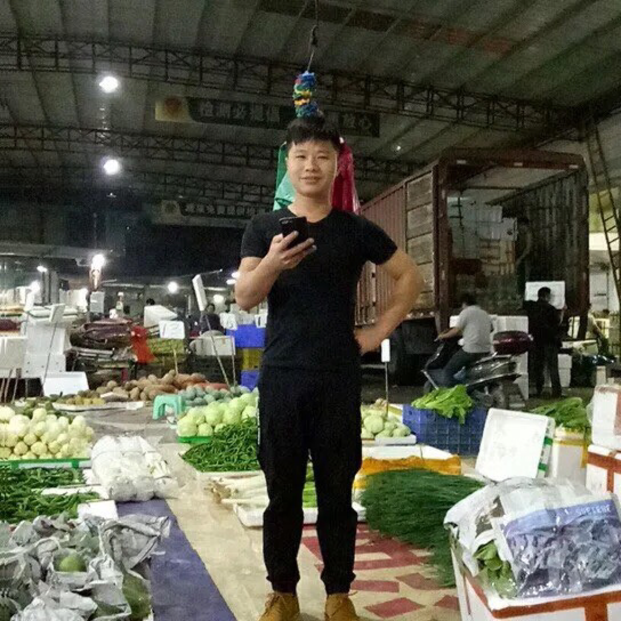 小鸽子拿腼腆的照片
