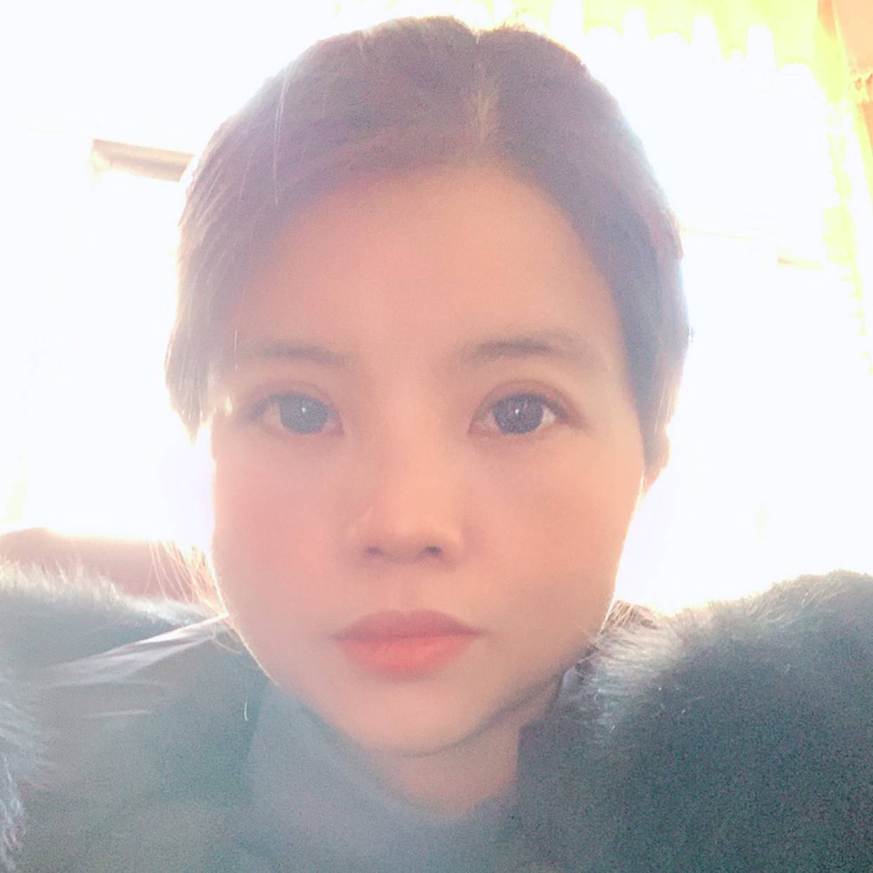 含笑花的照片