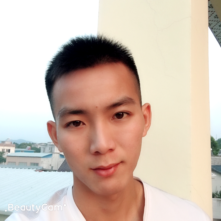 黑夜柔情的照片