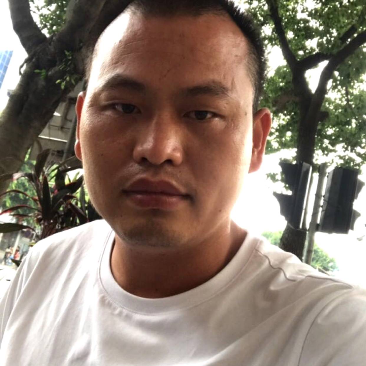 鸭子凝眸傲娇的照片