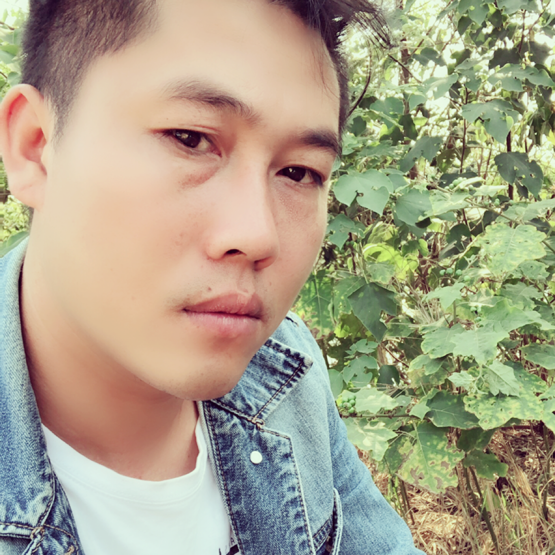 含羞草回眸忧虑的照片