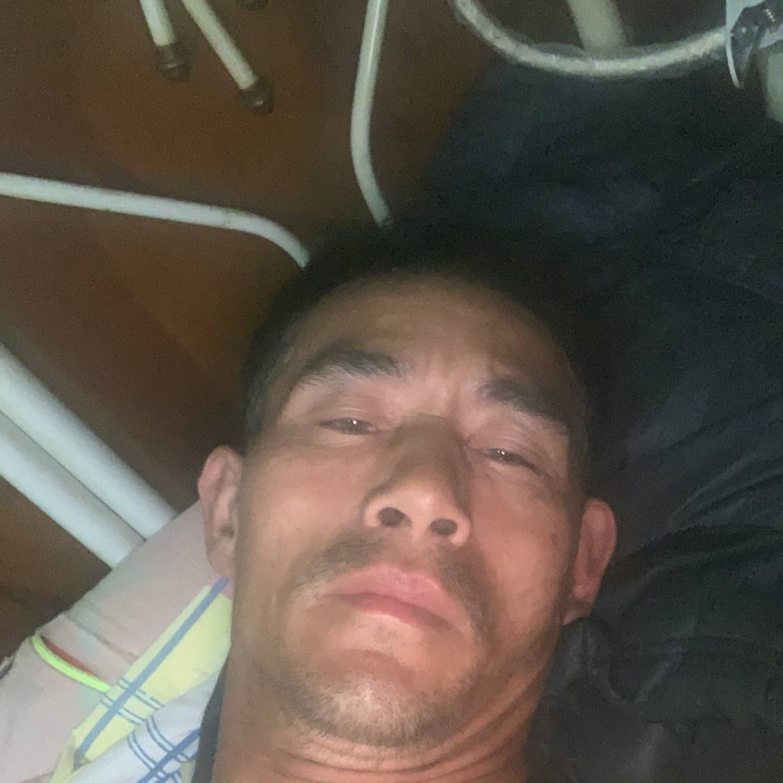 陈廷龙的照片